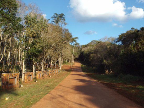 Selva Iryapu La Reserva